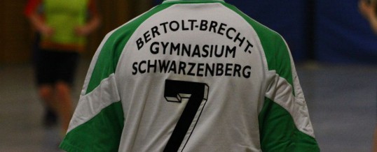 Handballturnier der ehemaligen Schüler des Brecht Gymnasiums 2012