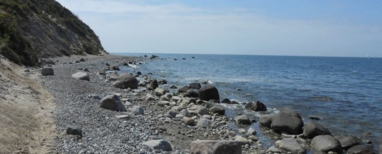 Wochenexkursion des Chemie- und Physikkurses an die Ostsee