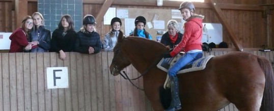 Eine Reitstunde für Schüler aus der 07C