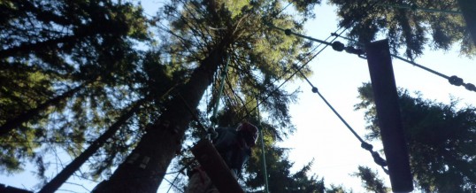 Ausflug zum Kletterwald Rabenberg