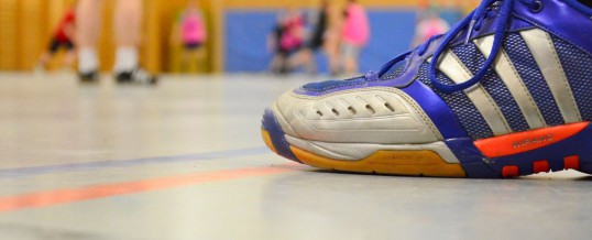 Handballturnier der ehemaligen Schüler 2016