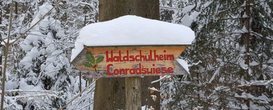 Kleine Forscher im Winterwald