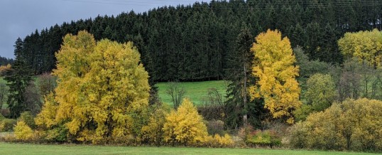 Informationen und Festlegungen für den Schulbetrieb nach den Herbstferien