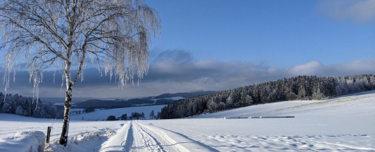 Laufchallenge