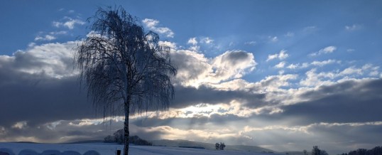 Gruppen Ethik Klassen 10 (akt. am 15.03.2021)