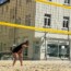Beachvolleyball-Turnier Schneeberg 2023