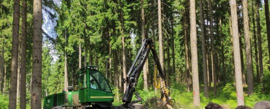 Ökologische Exkursionen der Kursstufe 11