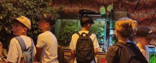 Wandertag der fünften Klassen in den „Zoo der Minis“ in Aue